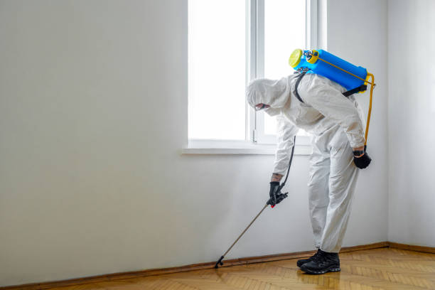 Best Pest Control for Multi-Family Homes  in Heidelberg, PA